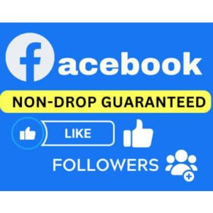 Facebook ID/Page 1K Follower | 365 Days Guarantee
